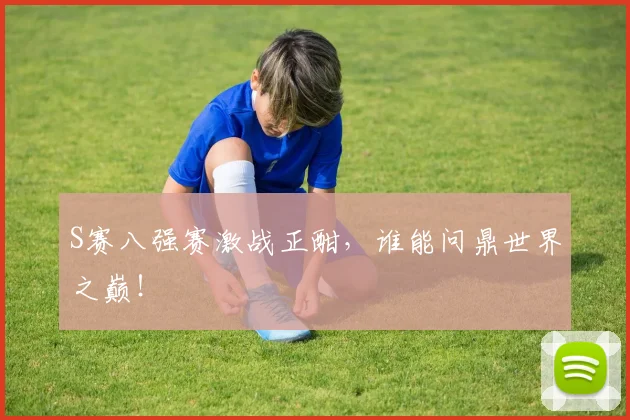 S赛八强赛激战正酣，谁能问鼎世界之巅！